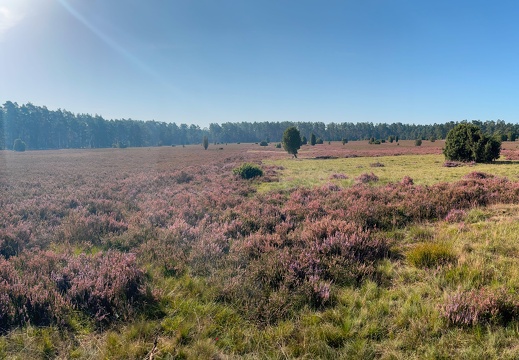 23-09-11 10-29-41 6658